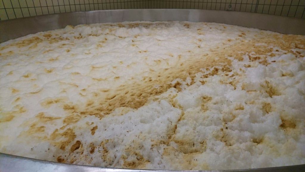 發酵啤酒可以不使用啤酒酵母嗎？