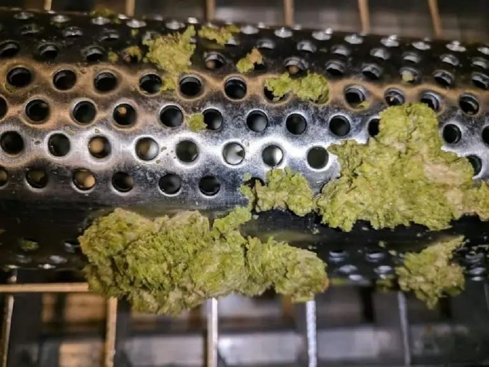 酒花槍內的過濾網